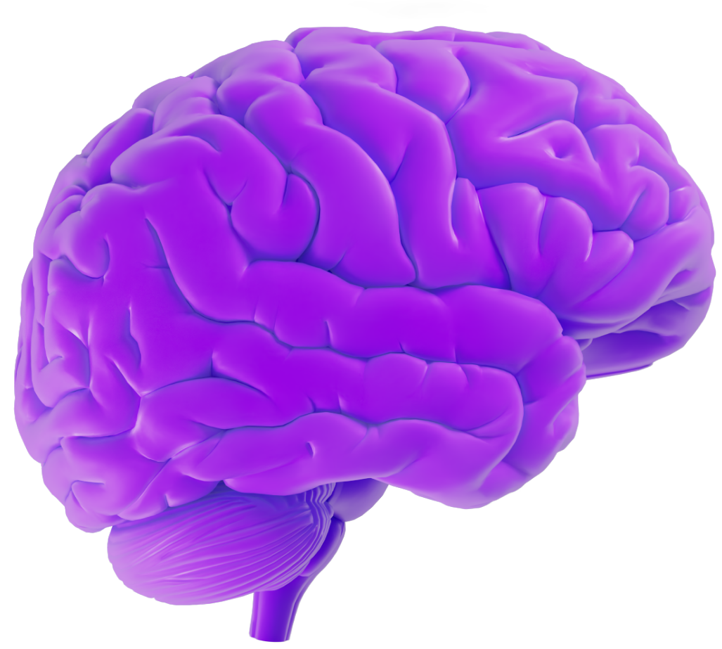 3D visual of a brain